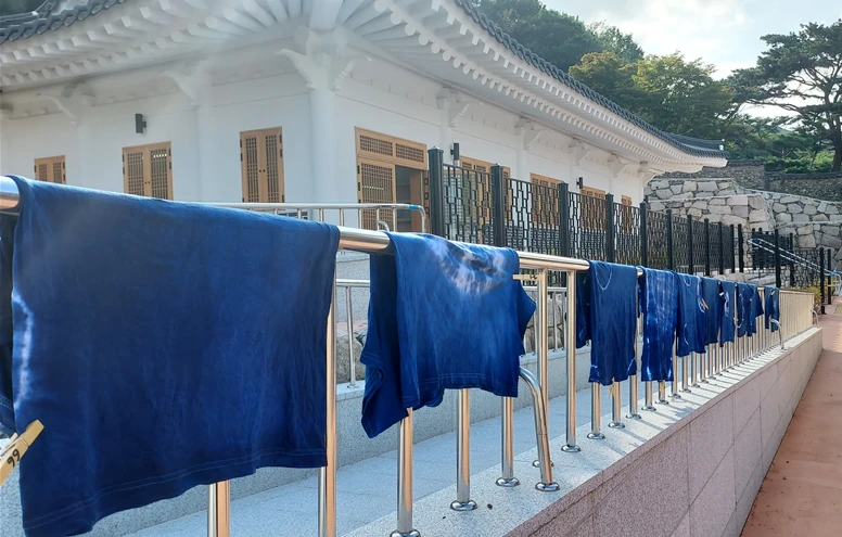 천연염색으로 완성한 파란색 티셔츠 결과물